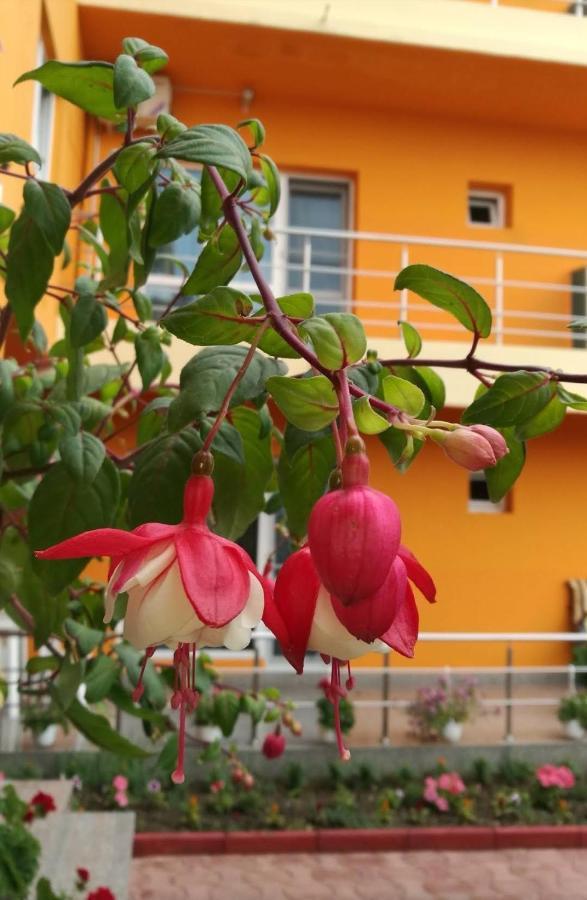 Vila Oranj Hotel Костинещи Екстериор снимка